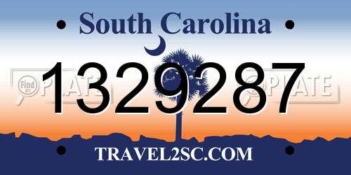 1329287 South Carolina License Plate