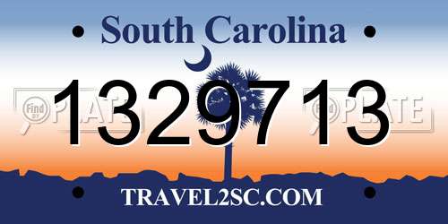 1329713 South Carolina License Plate