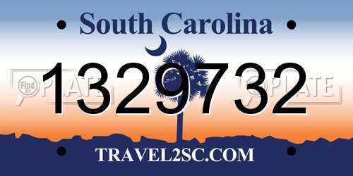 1329732 South Carolina License Plate