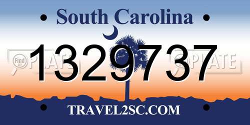 1329737 South Carolina License Plate