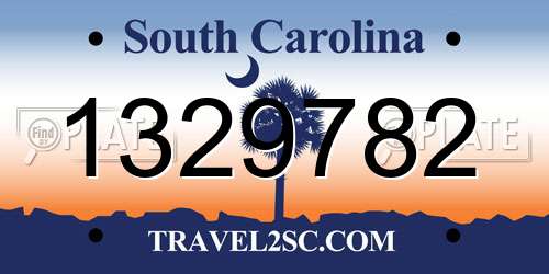 1329782 South Carolina License Plate