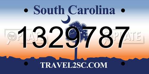 1329787 South Carolina License Plate
