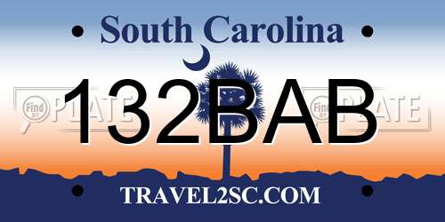 132BAB South Carolina License Plate