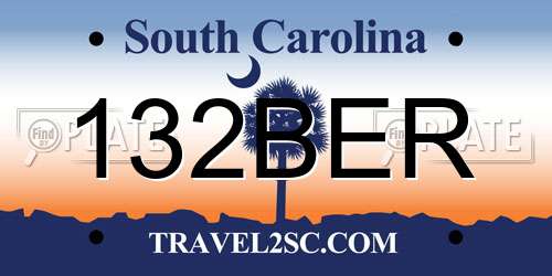 132BER South Carolina License Plate