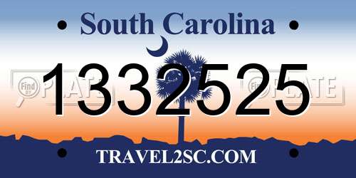 1332525 South Carolina License Plate