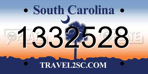 1332528 South Carolina License Plate