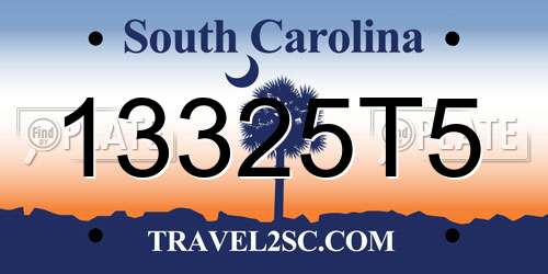 13325T5 South Carolina License Plate