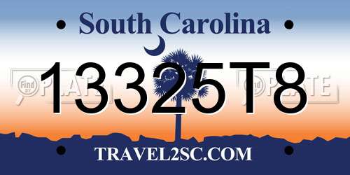 13325T8 South Carolina License Plate