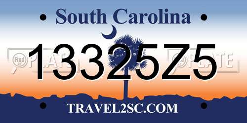 13325Z5 South Carolina License Plate