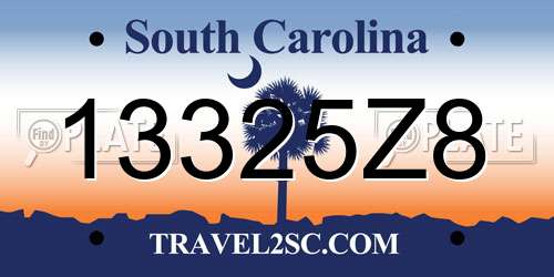 13325Z8 South Carolina License Plate