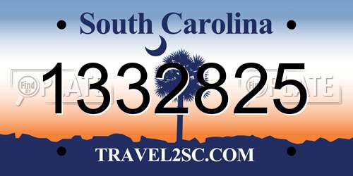 1332825 South Carolina License Plate