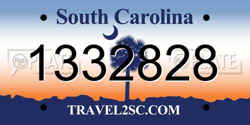 1332828 South Carolina License Plate