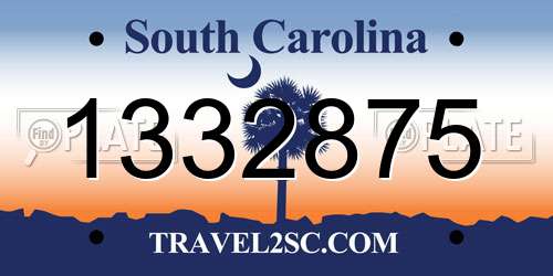 1332875 South Carolina License Plate