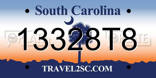 13328T8 South Carolina License Plate