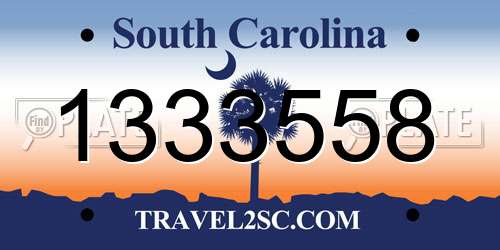 1333558 South Carolina License Plate