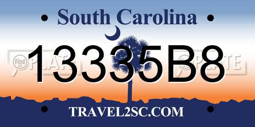 13335B8 South Carolina License Plate