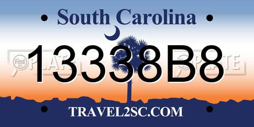 13338B8 South Carolina License Plate