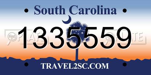 1335559 South Carolina License Plate