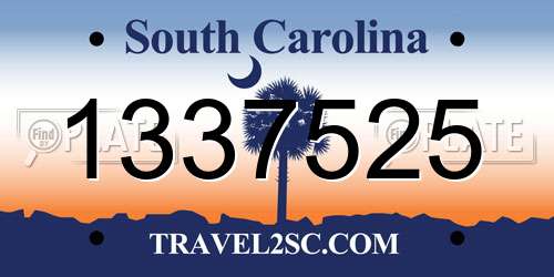 1337525 South Carolina License Plate