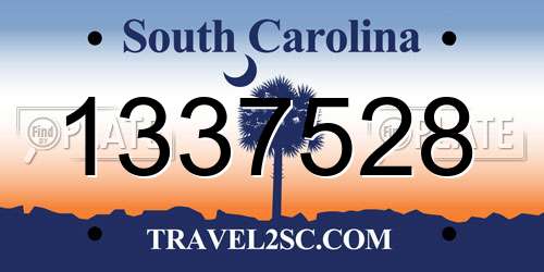 1337528 South Carolina License Plate