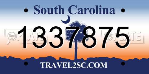 1337875 South Carolina License Plate