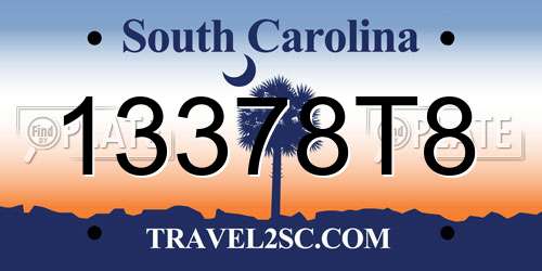 13378T8 South Carolina License Plate