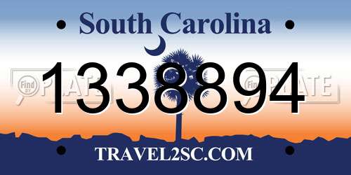 1338894 South Carolina License Plate