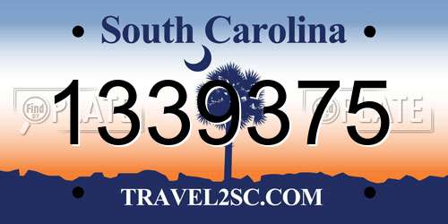 1339375 South Carolina License Plate