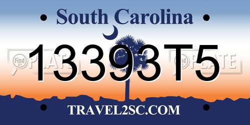 13393T5 South Carolina License Plate