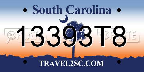 13393T8 South Carolina License Plate