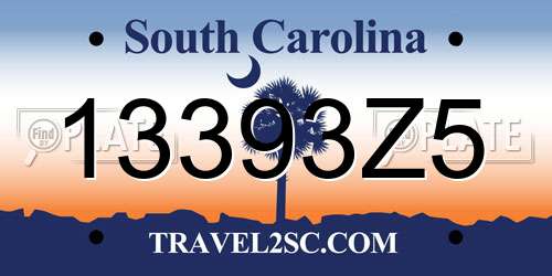 13393Z5 South Carolina License Plate