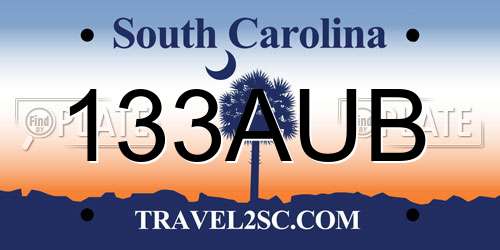 133AUB South Carolina License Plate