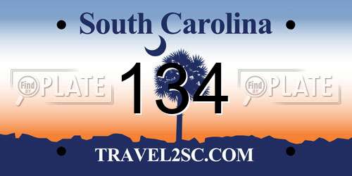 134 South Carolina License Plate