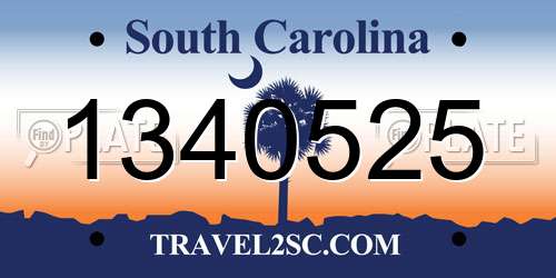 1340525 South Carolina License Plate