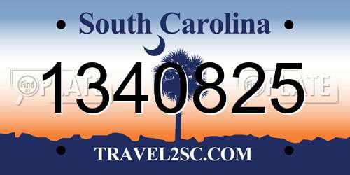 1340825 South Carolina License Plate