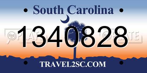 1340828 South Carolina License Plate