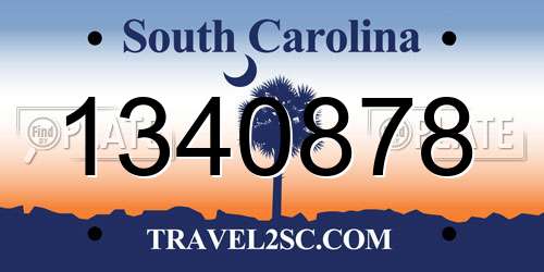 1340878 South Carolina License Plate