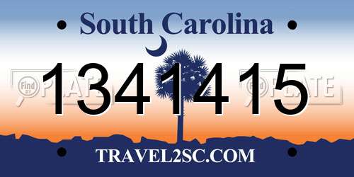1341415 South Carolina License Plate