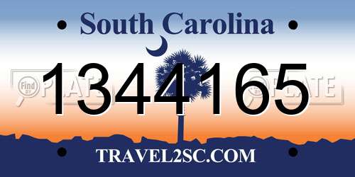 1344165 South Carolina License Plate