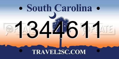 1344611 South Carolina License Plate