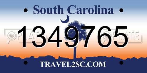 1349765 South Carolina License Plate