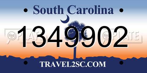 1349902 South Carolina License Plate