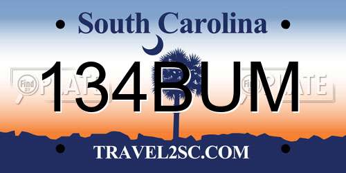 134BUM South Carolina License Plate