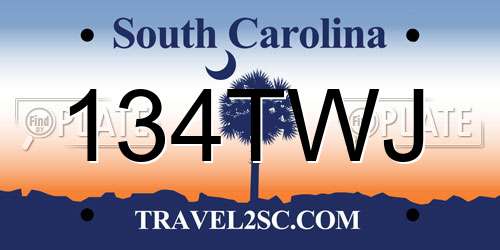 134TWJ South Carolina License Plate