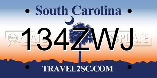 134ZWJ South Carolina License Plate