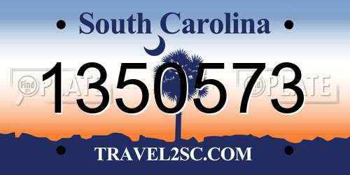 1350573 South Carolina License Plate
