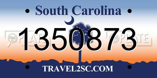 1350873 South Carolina License Plate