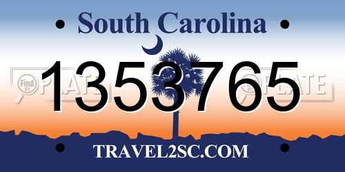 1353765 South Carolina License Plate