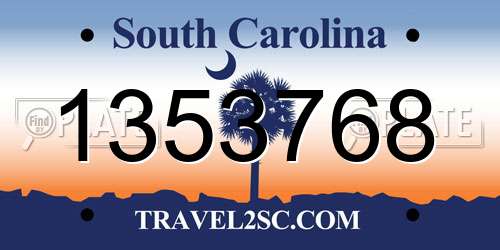 1353768 South Carolina License Plate