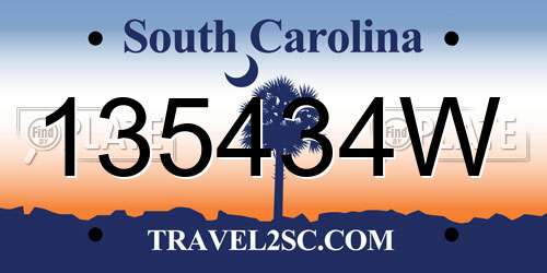 135434W South Carolina License Plate